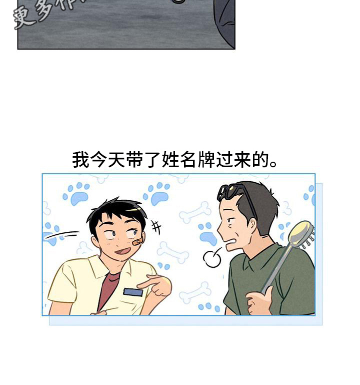 第8章：猜测17