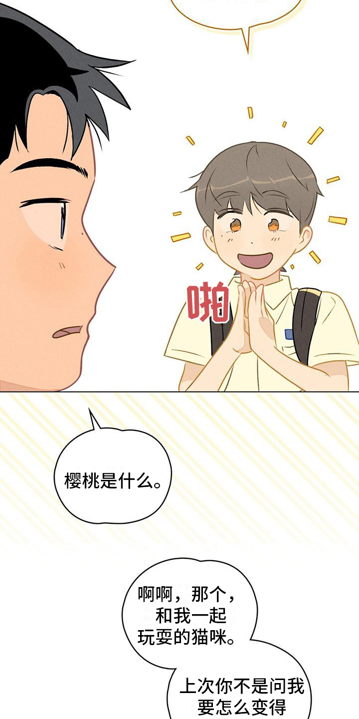 第13章：请教11