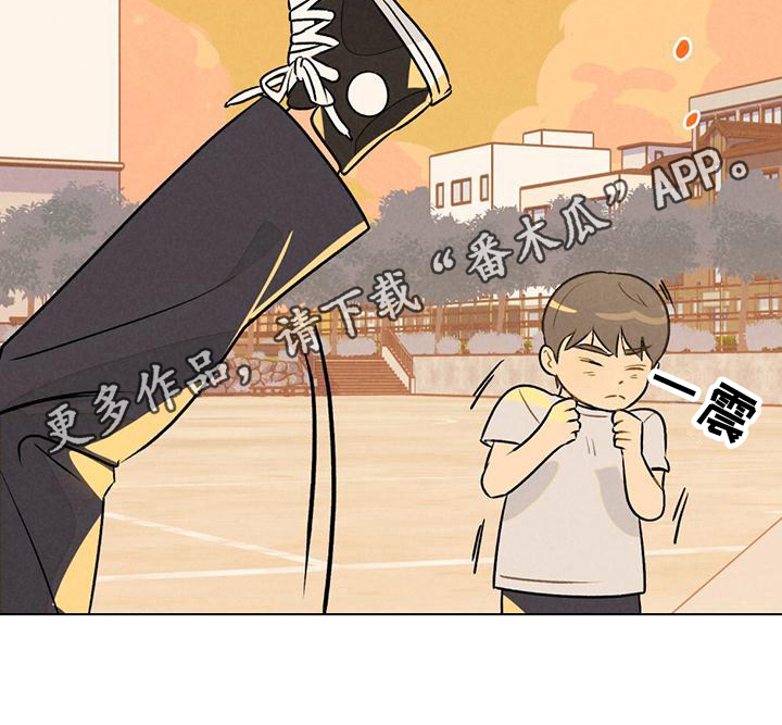 第14章：篮球的记忆19