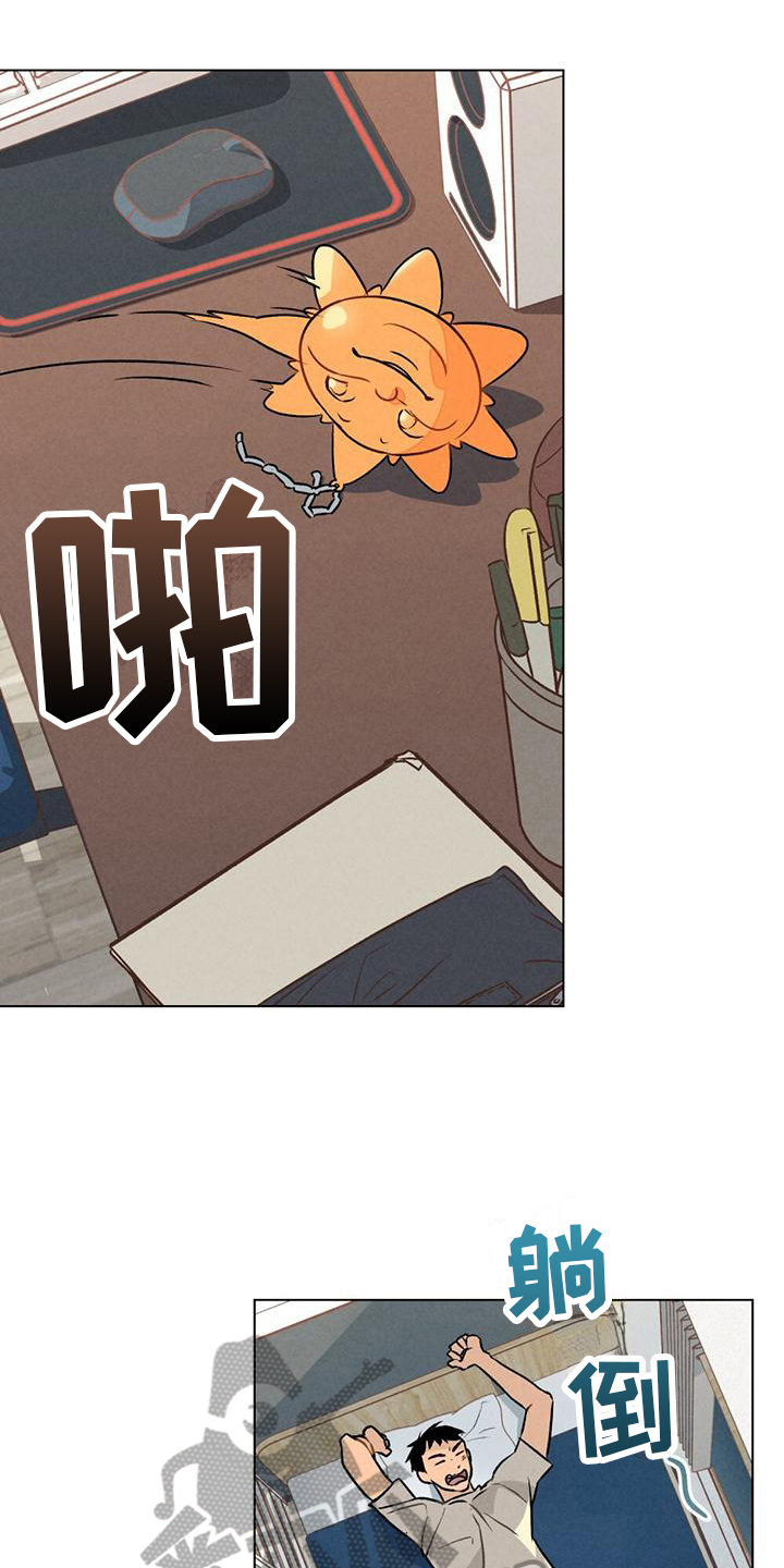 第4章：关注15