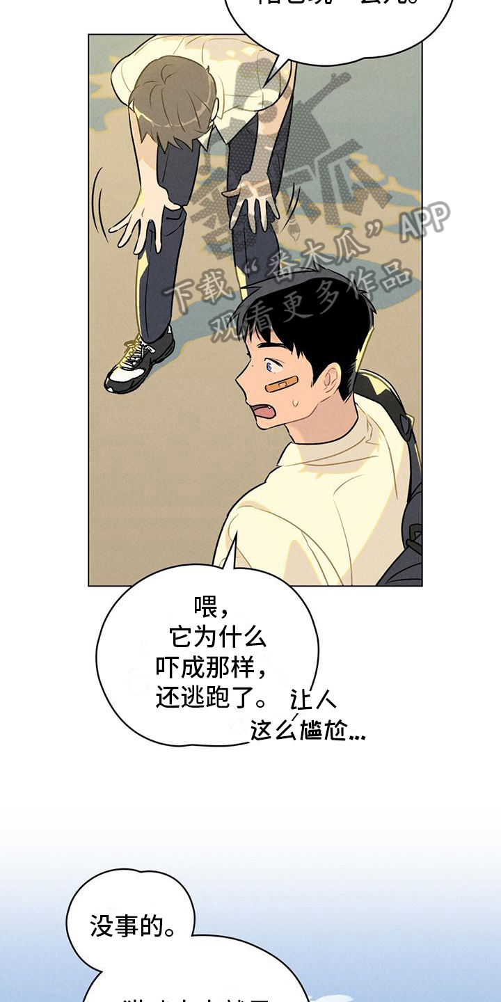 第9章：想要确认5