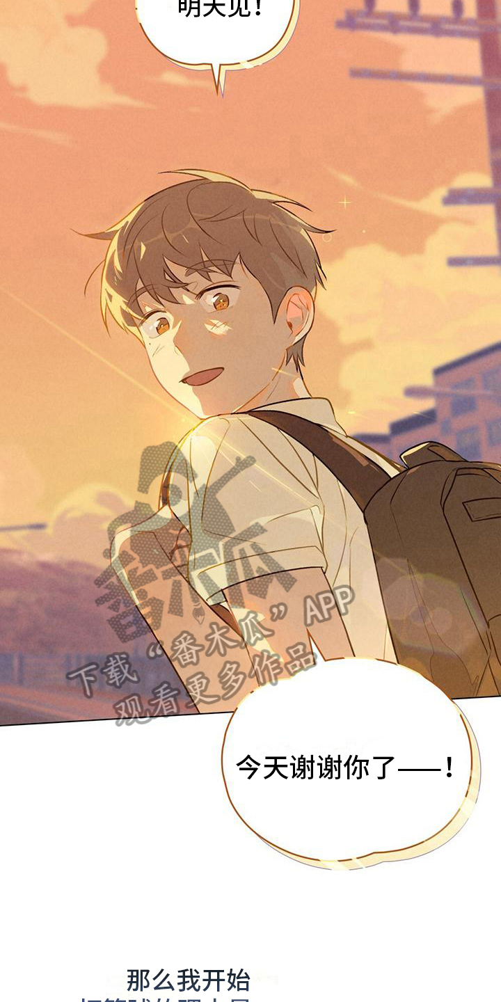 第14章：篮球的记忆10