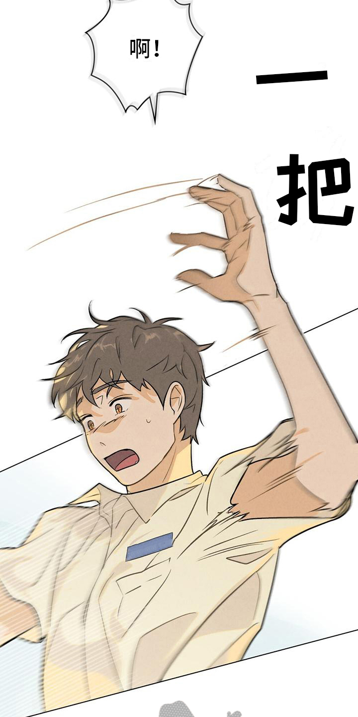 第6章：做卫生17