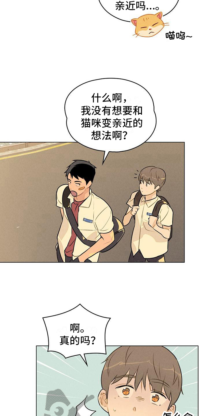 第13章：请教12