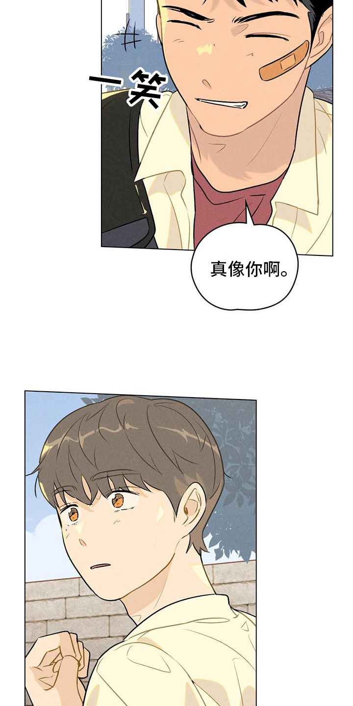 第9章：想要确认9