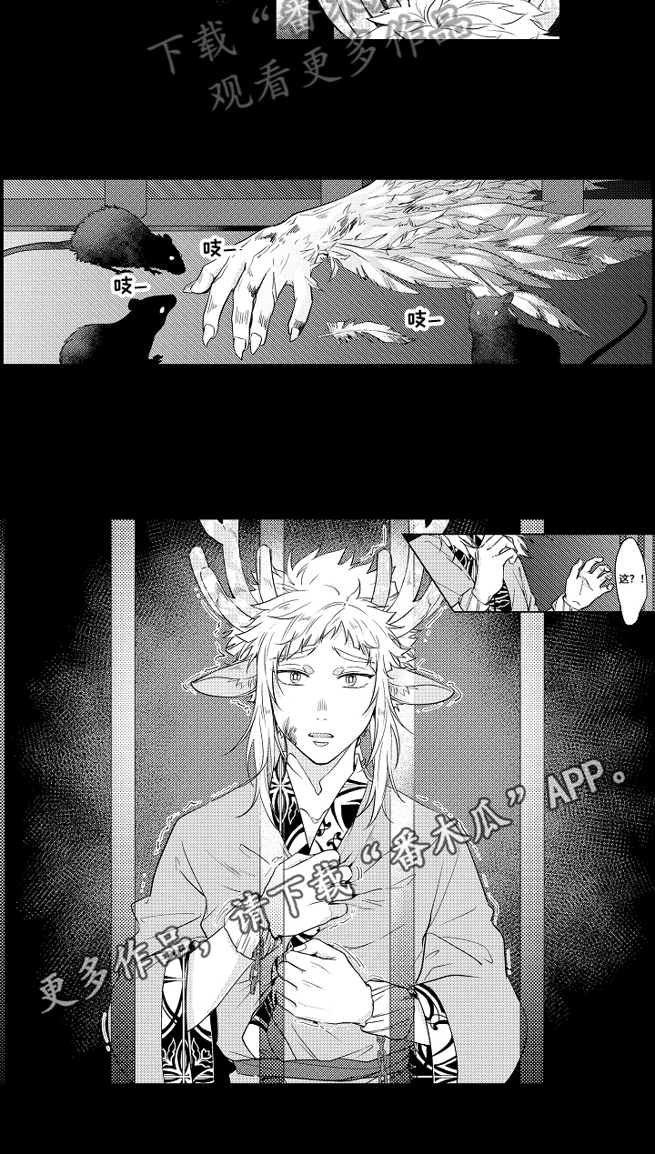 第18章：不舍6