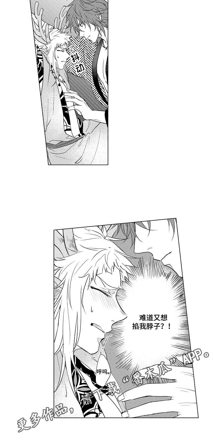 第4章：检查6
