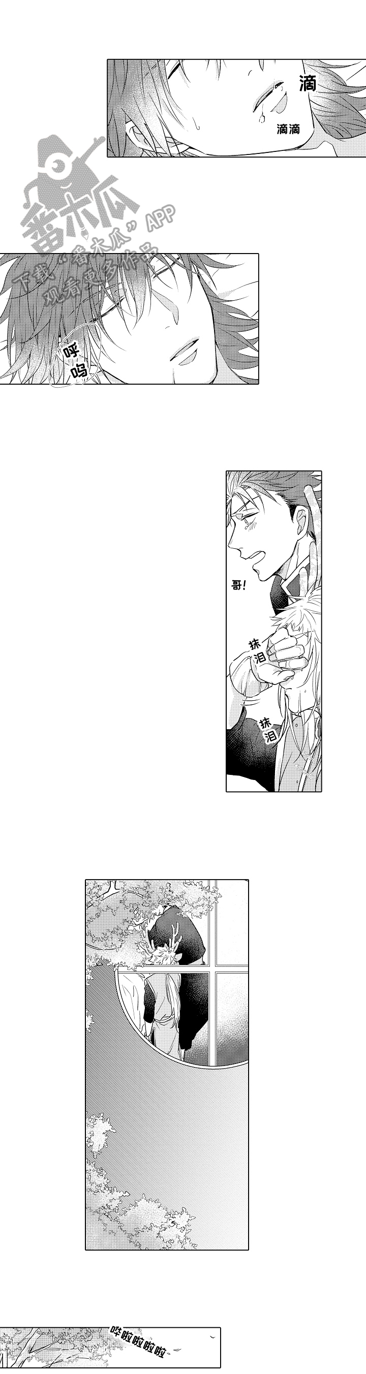 第14章：观察0
