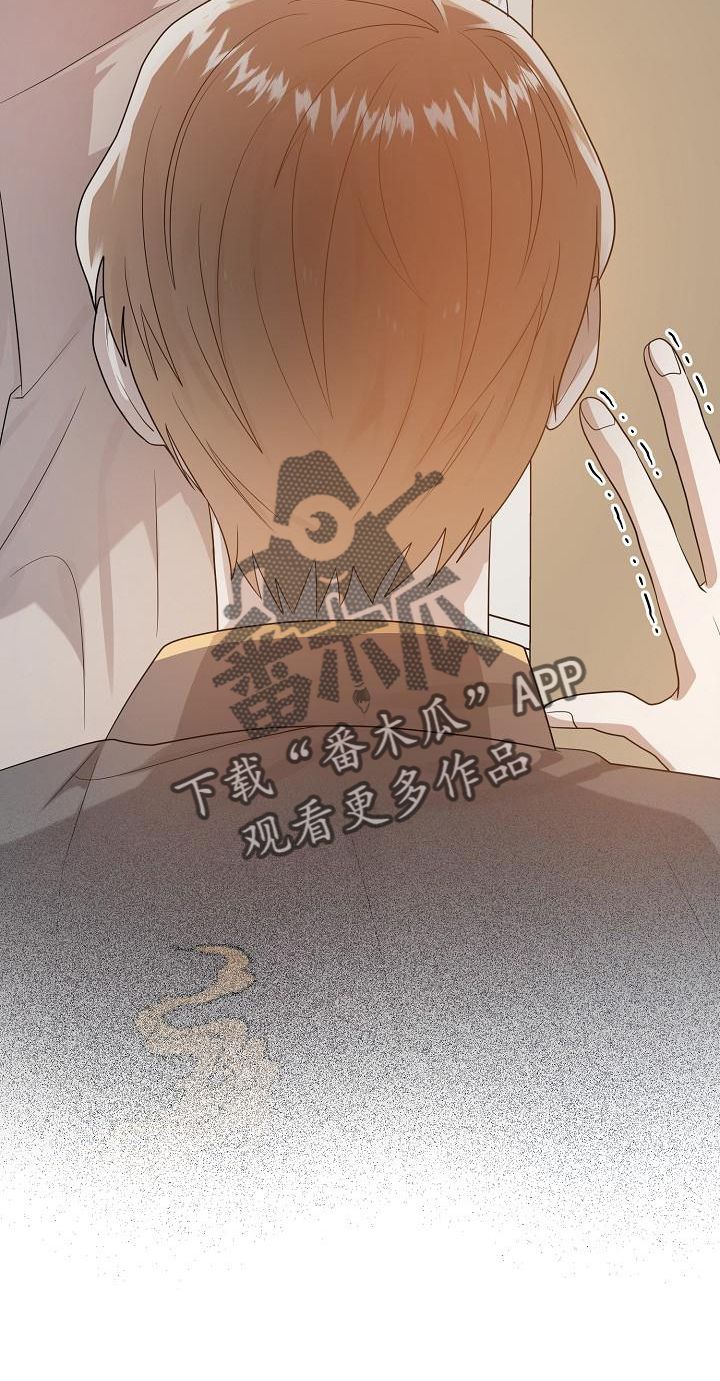 第53章：目击19