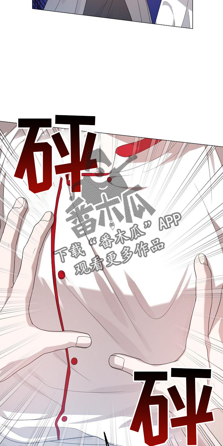第53章：目击23