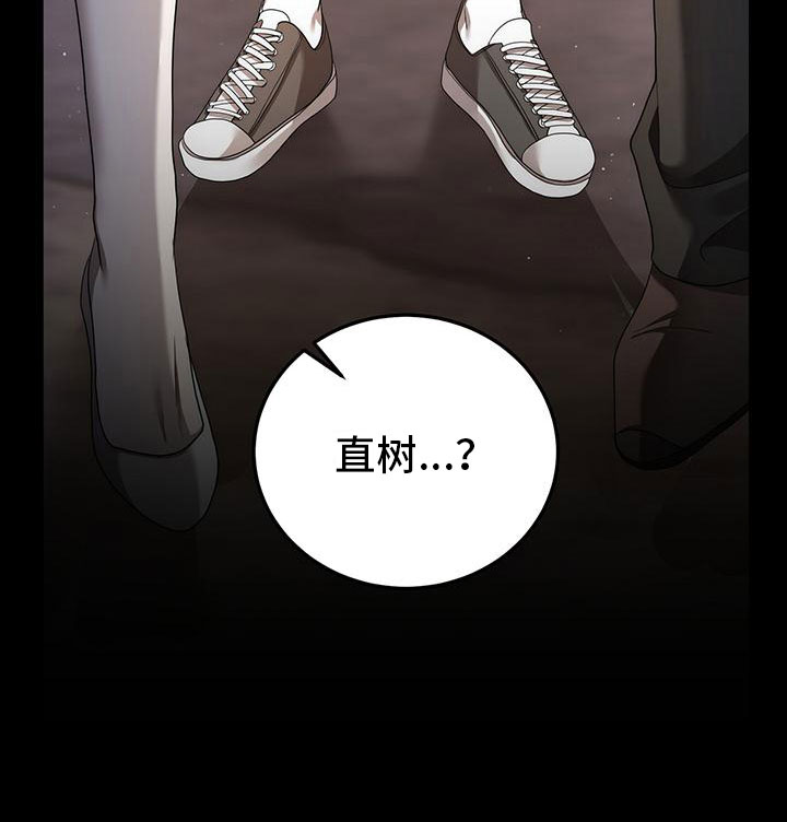 第19章：过去28
