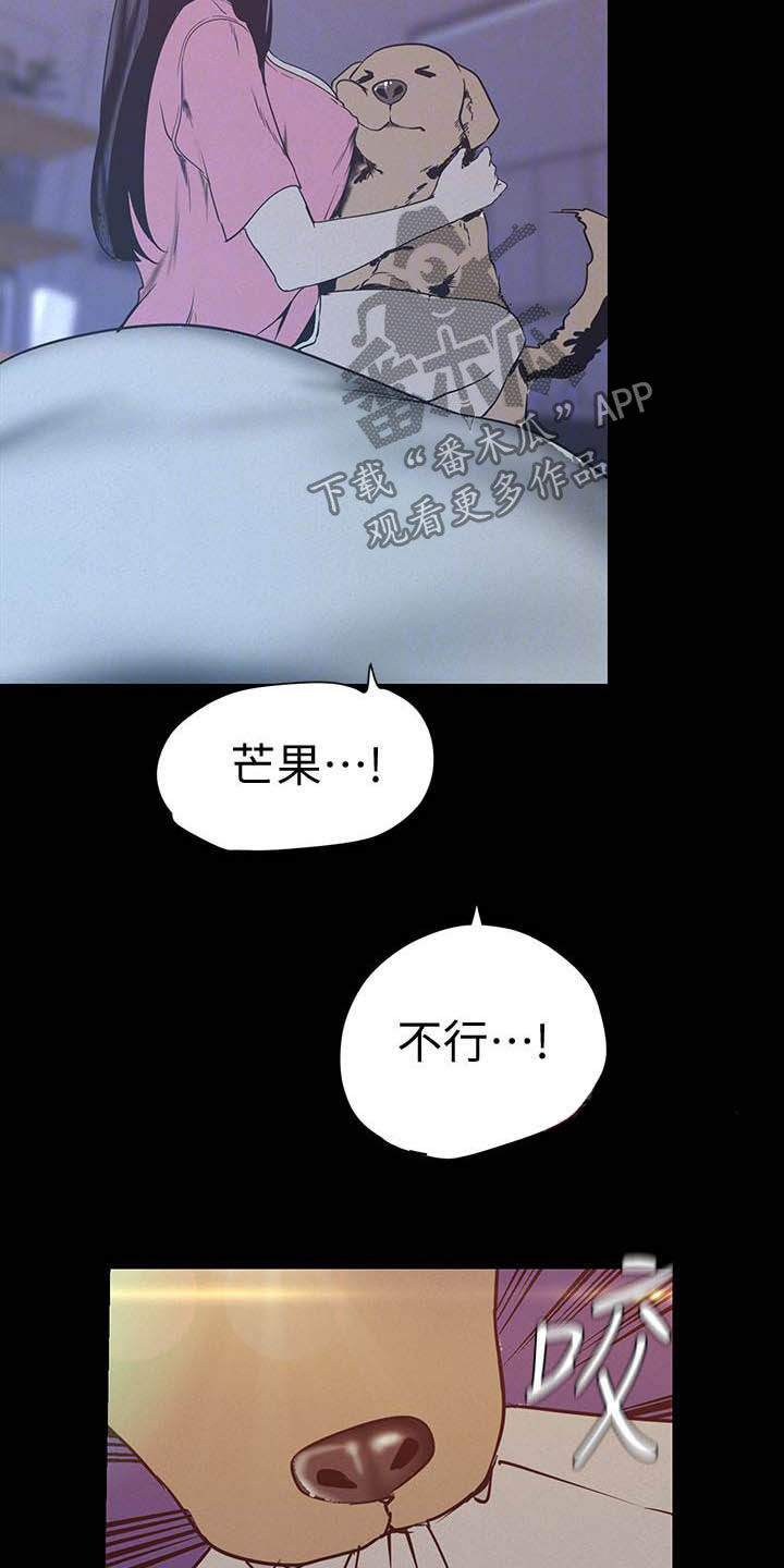 第212章：见家长8