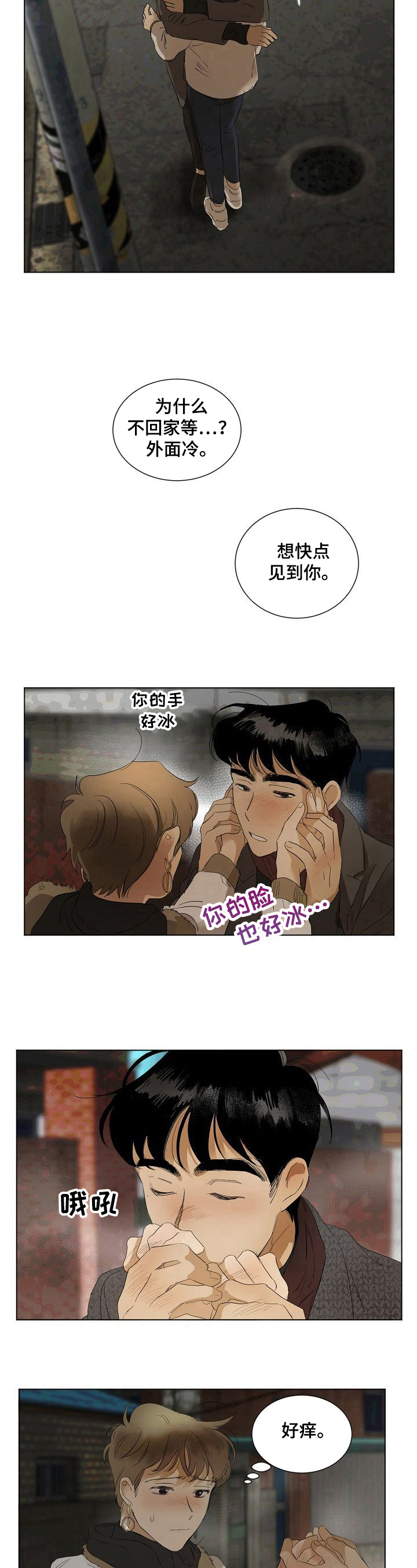 第13章：适应6