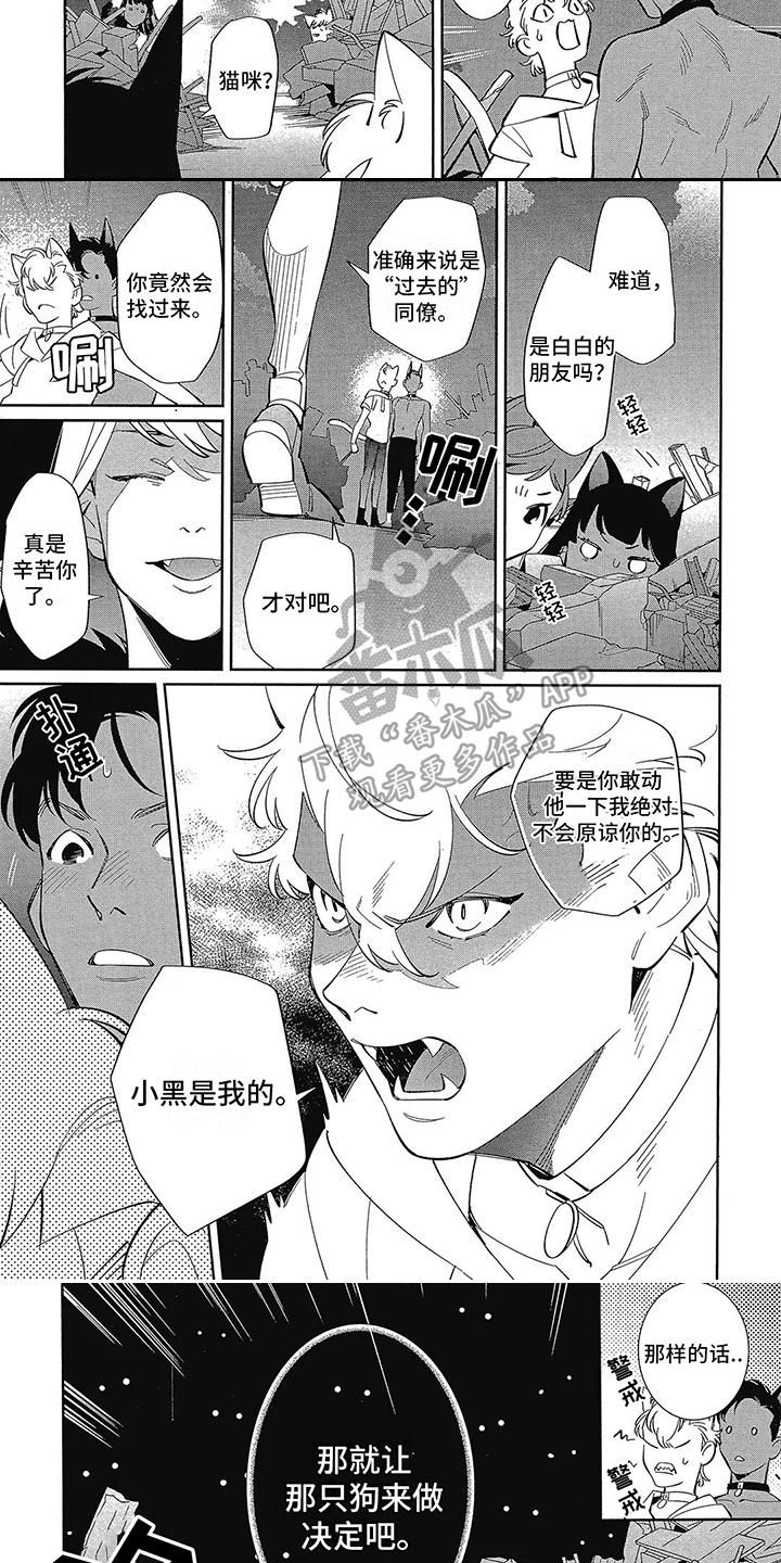 第13章：抉择2