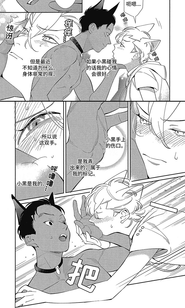 第3章：更好的东西6