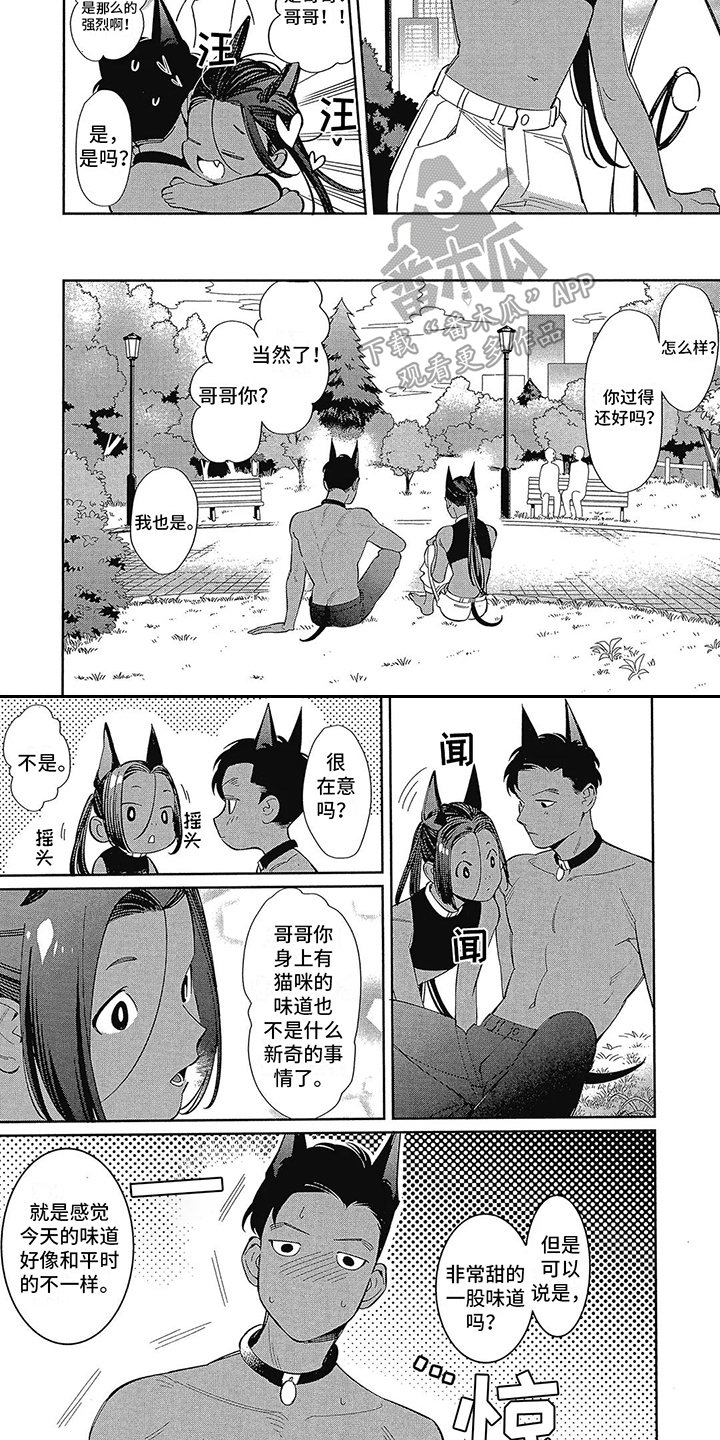 第4章：散步3