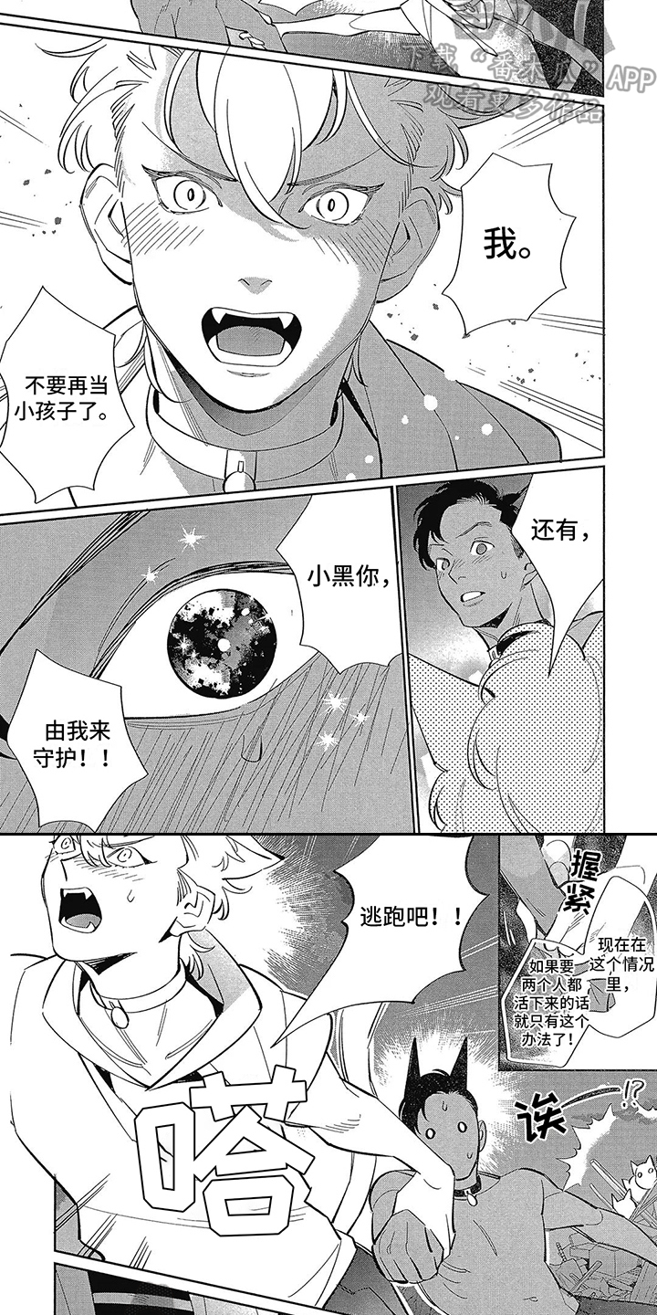 第13章：抉择5