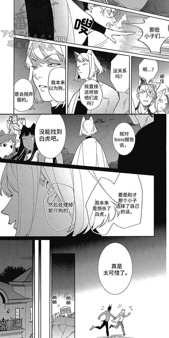 第13章：抉择6