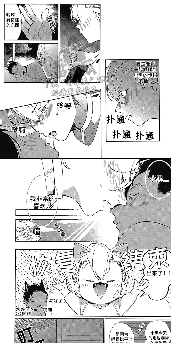 第6章：偷拍 0