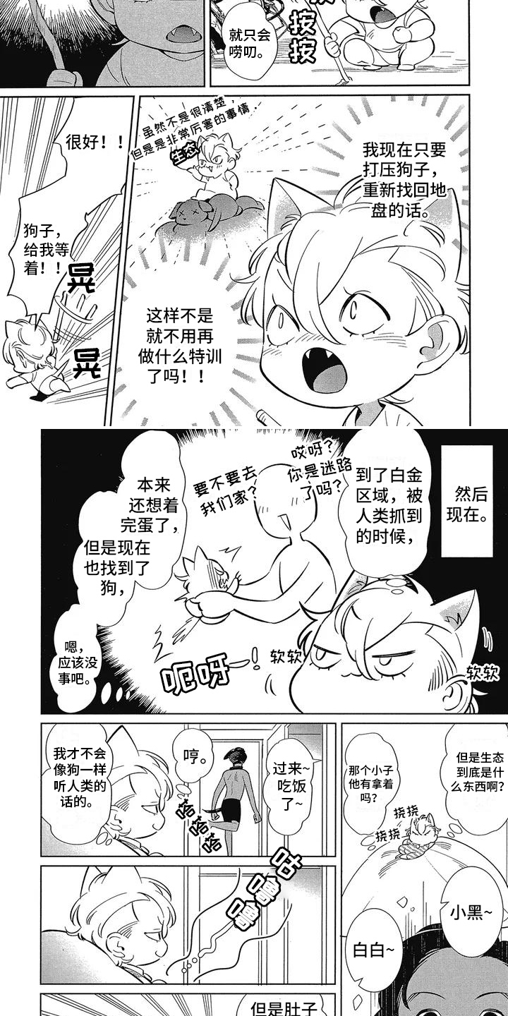 第2章：桀骜不驯1