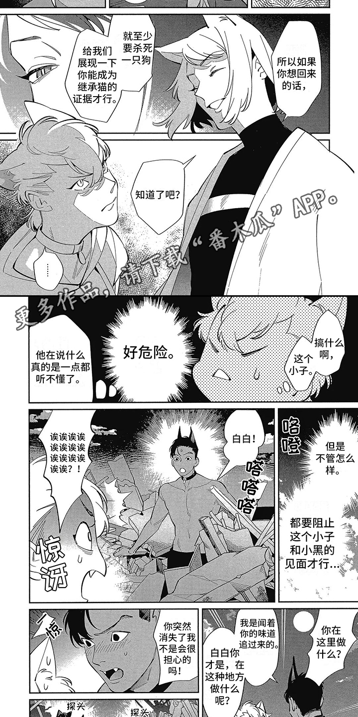第13章：抉择1