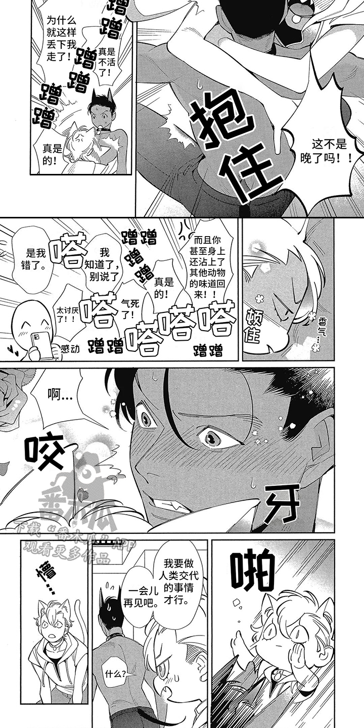 第4章：散步6