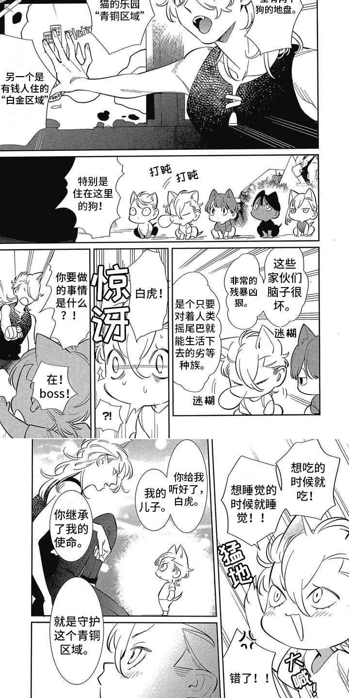 第1章：新家人5