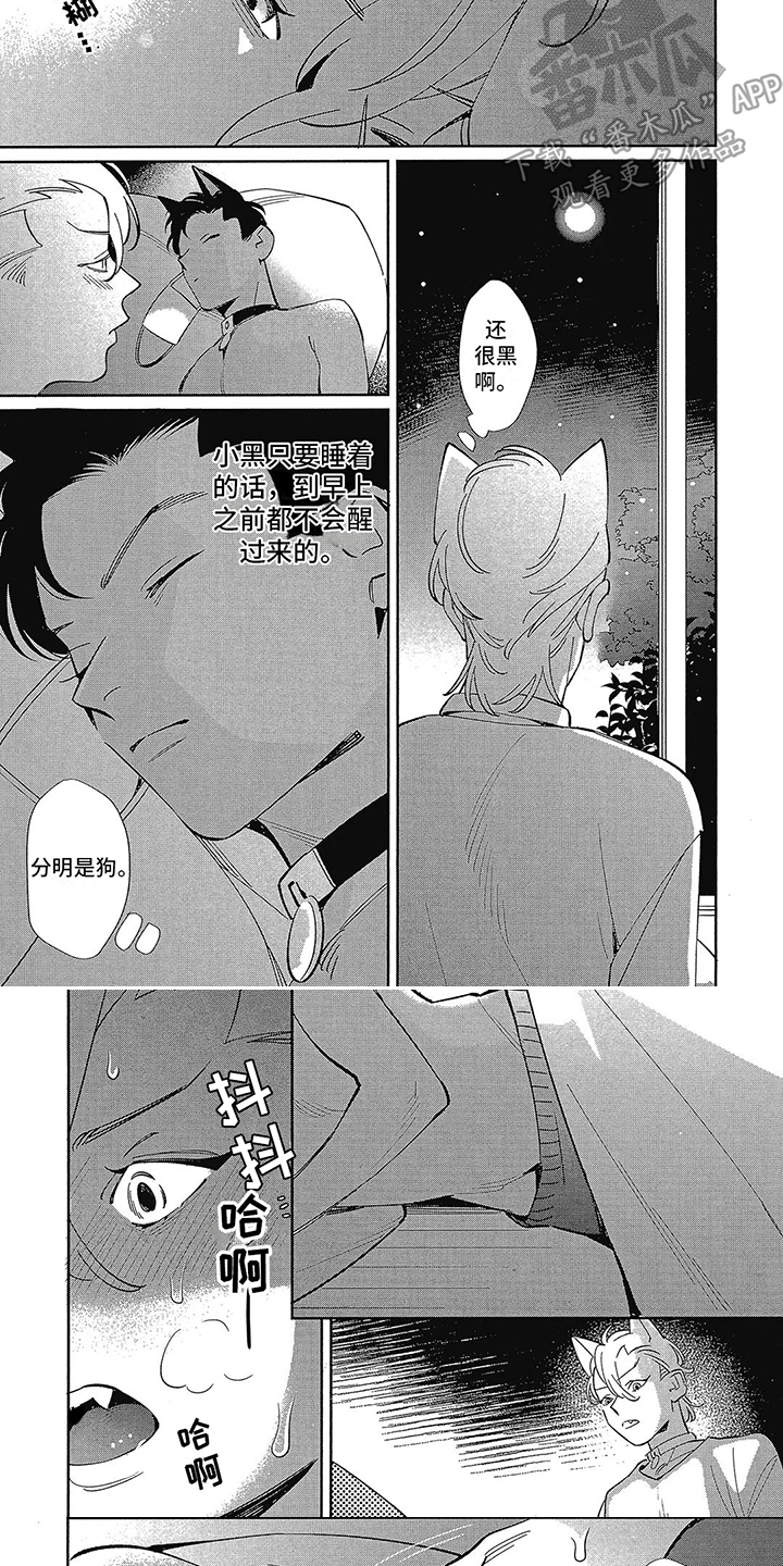 第5章：不安定5