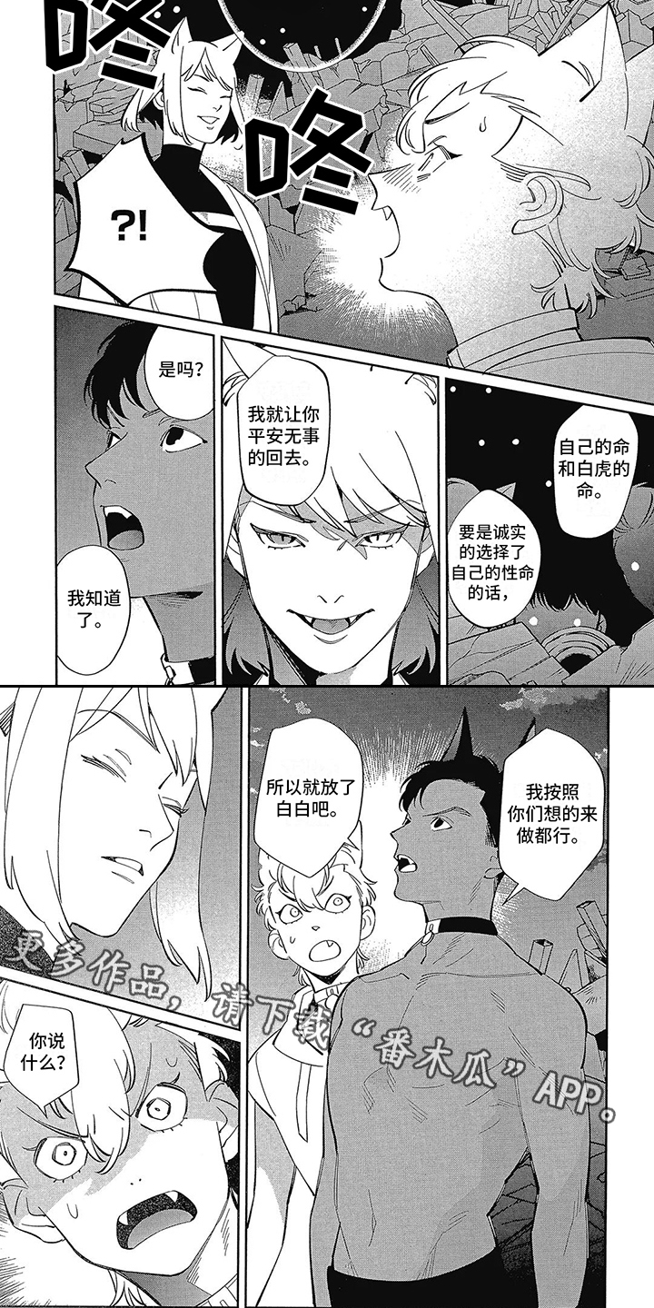 第13章：抉择3