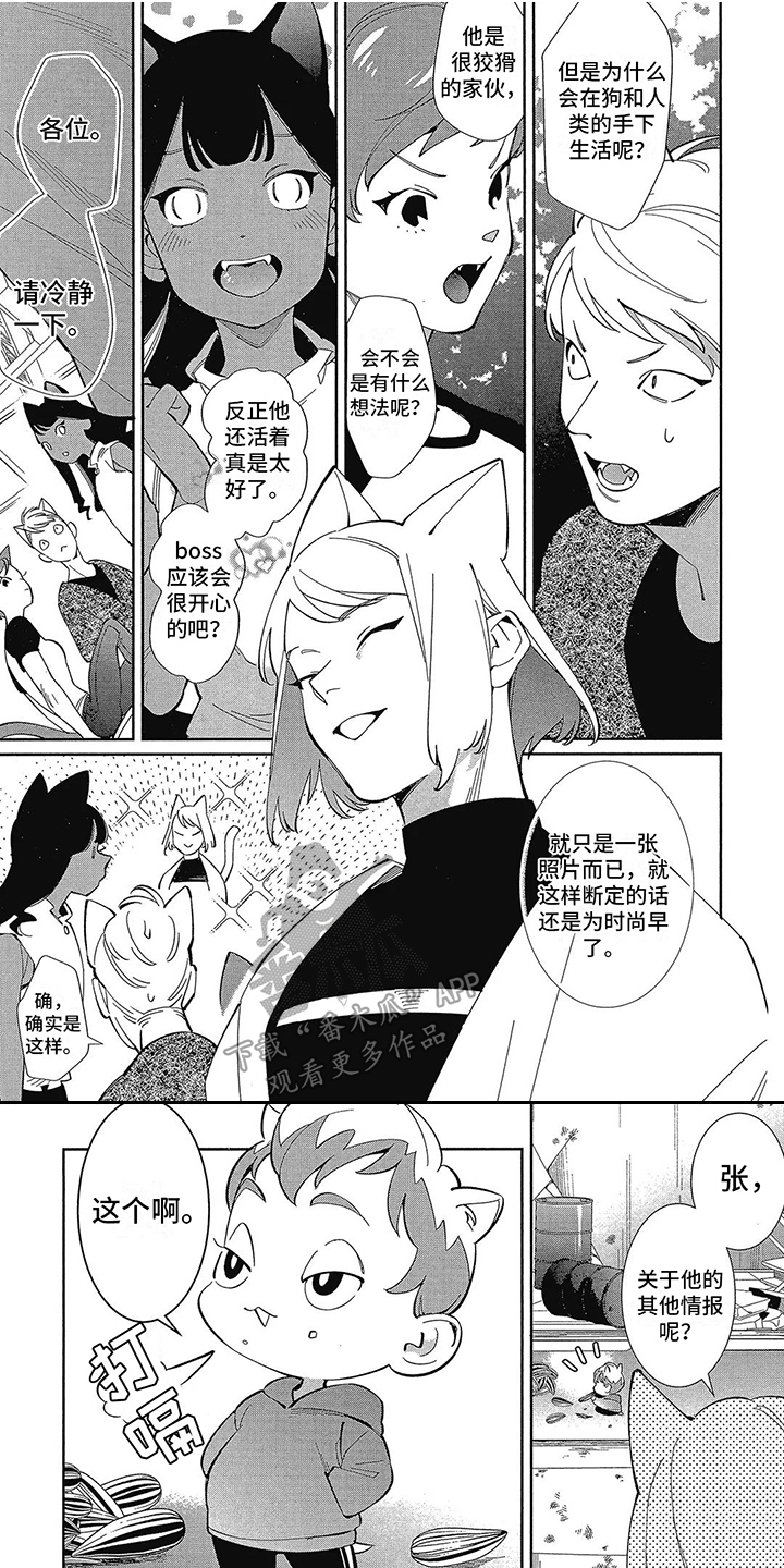 第7章：装睡 0