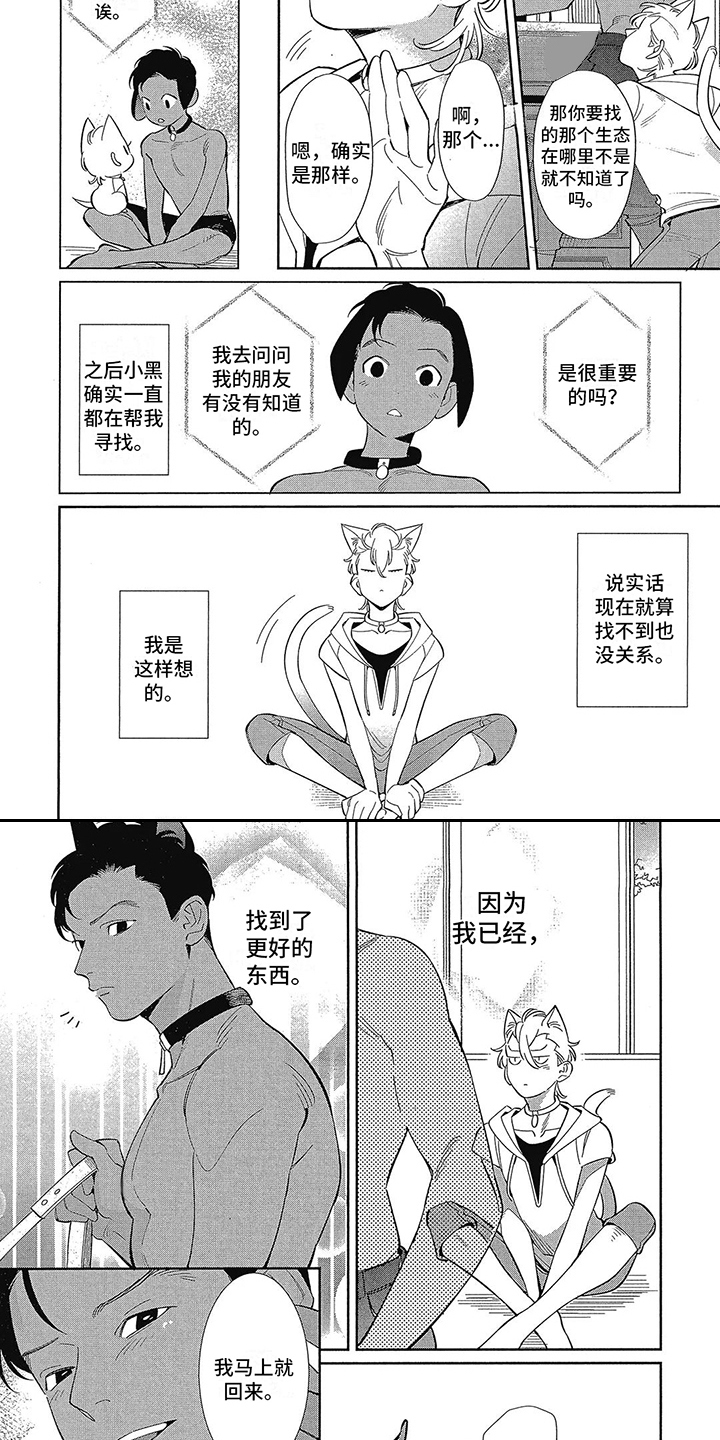 第3章：更好的东西5