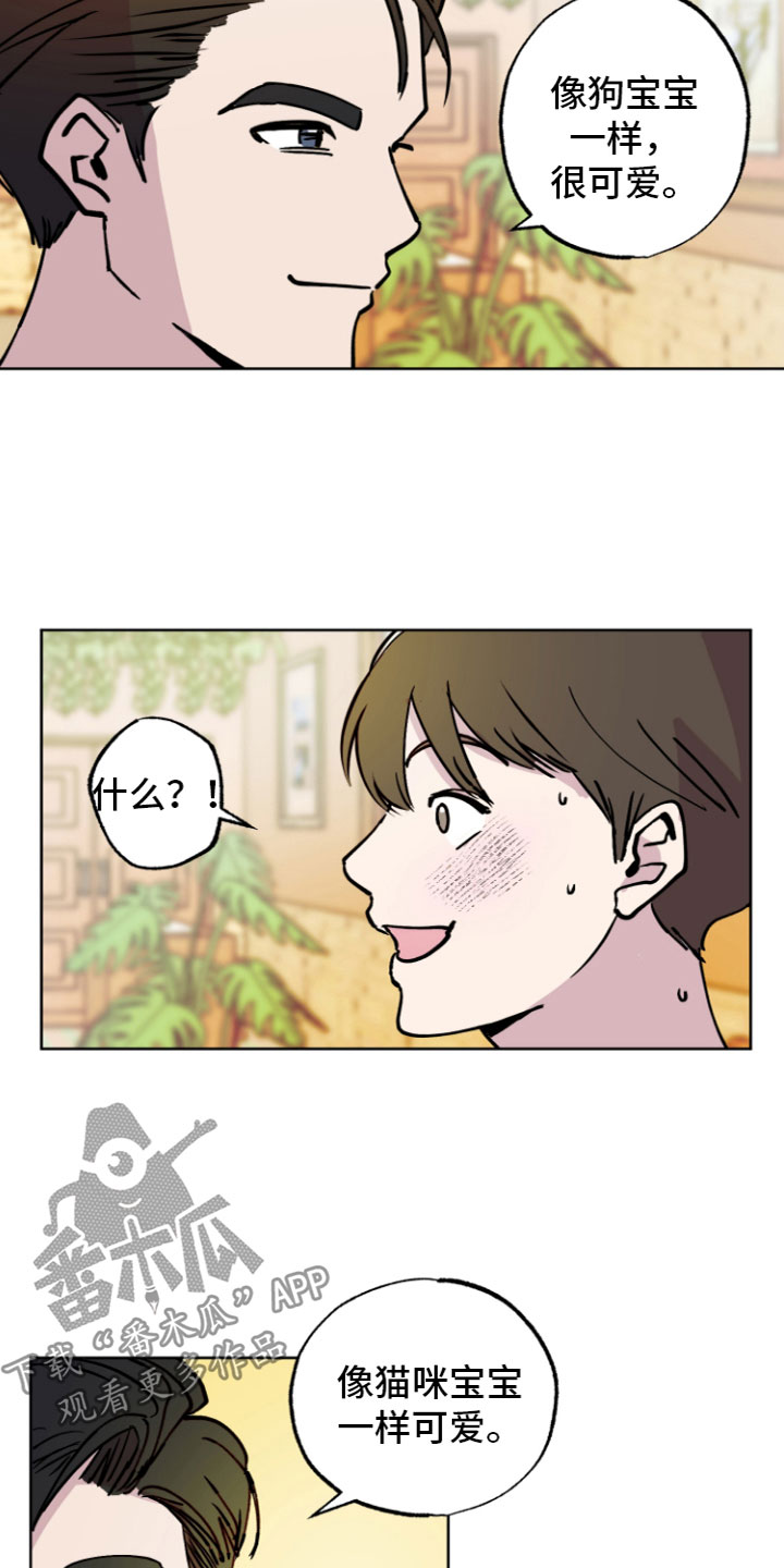 第7章：心动13