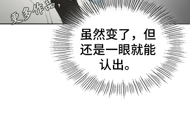 第5章：带回来20