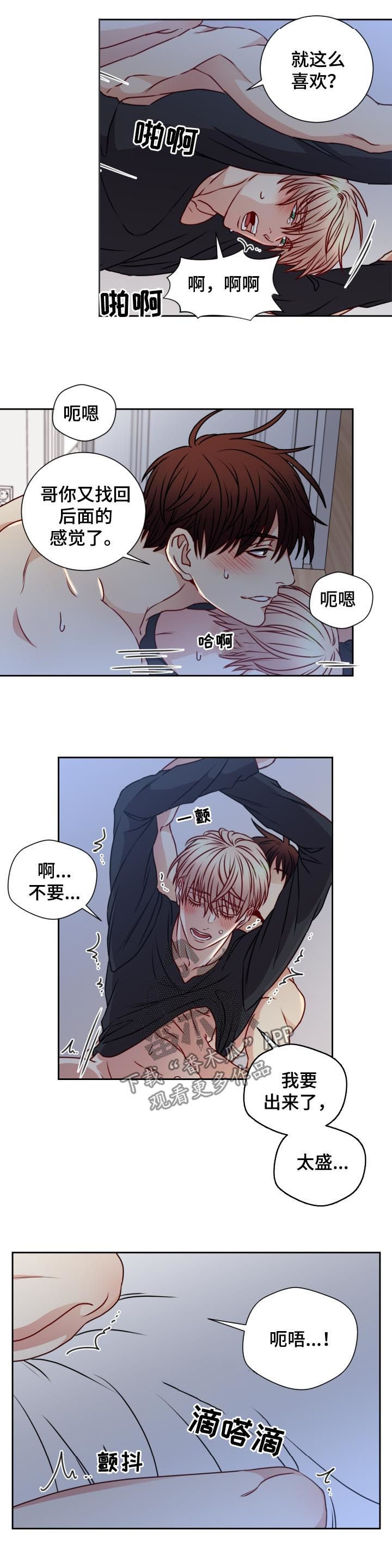 第90章：完美和解7