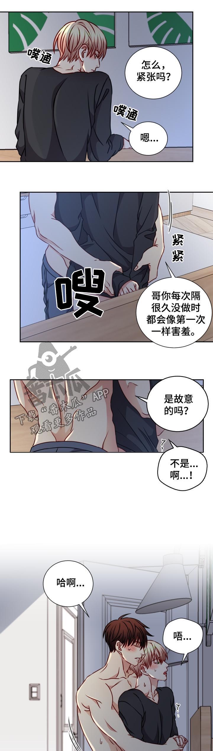 第90章：完美和解4