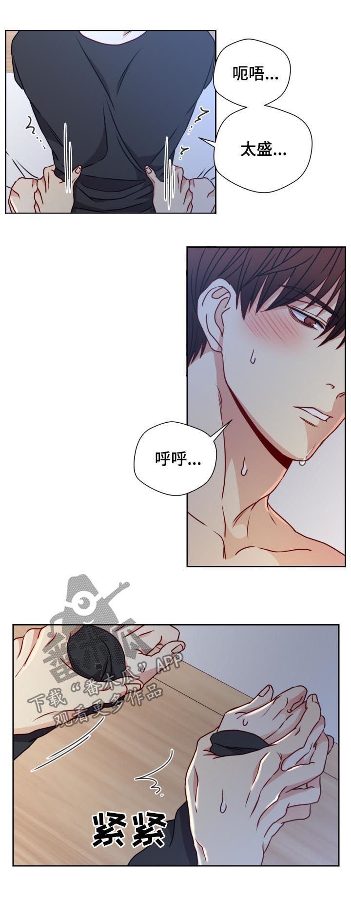 第90章：完美和解6