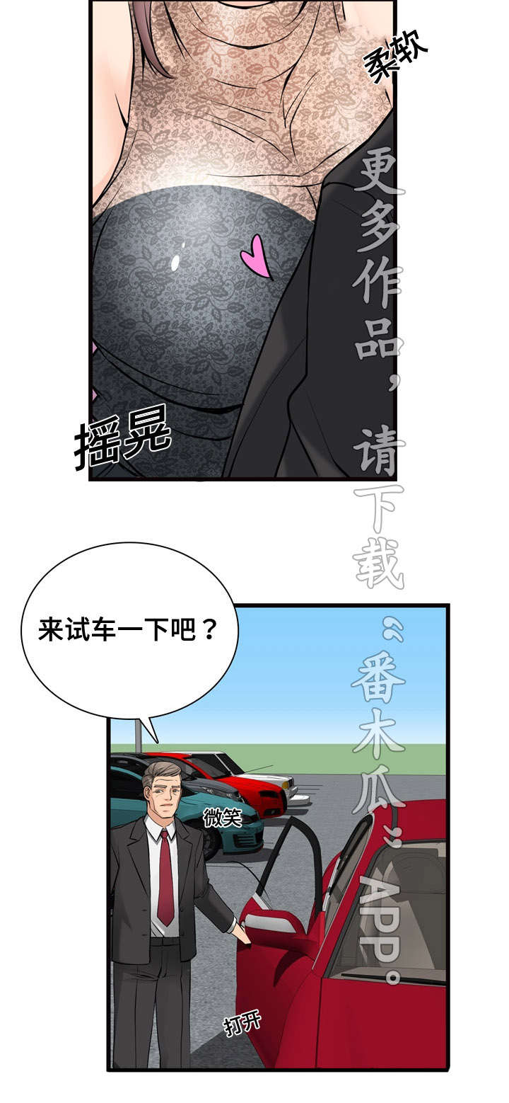 第13章：收购的车辆16