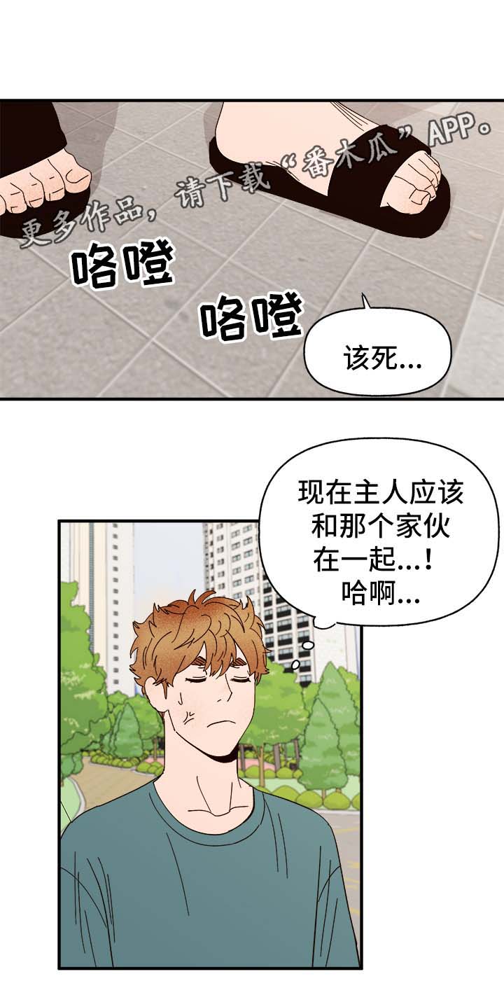 第33章：狗神4