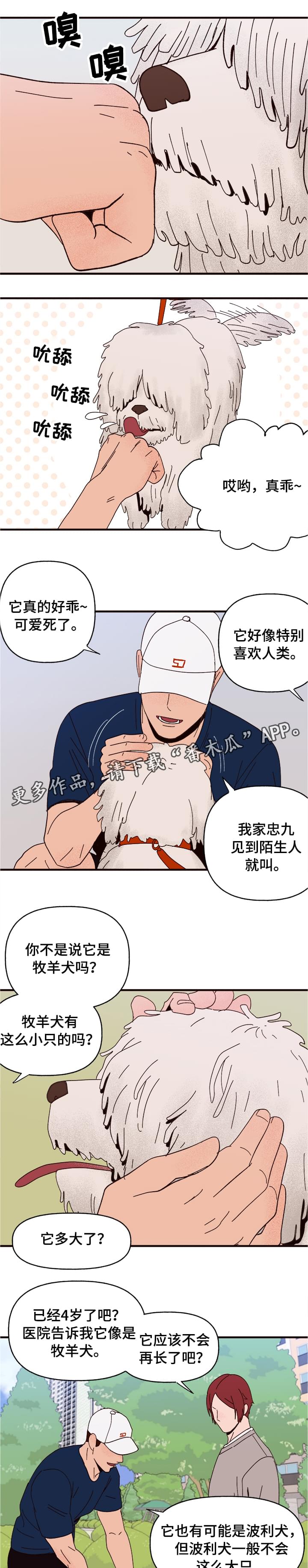 第10章：谎言10