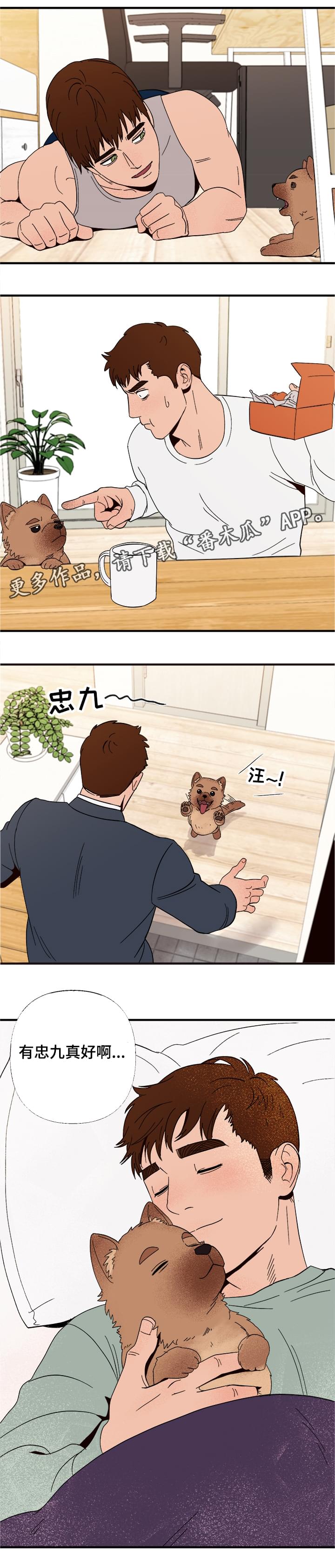 第6章：惩罚6