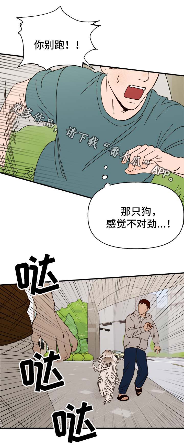 第33章：狗神7