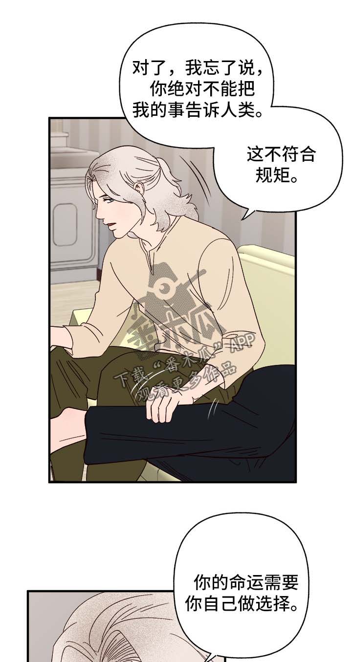 第37章：忠告6