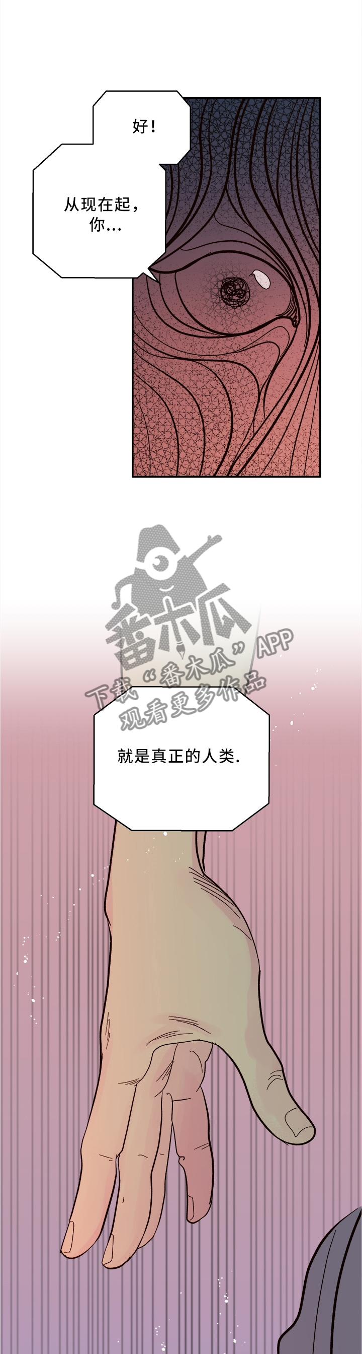 第45章：美梦成真1