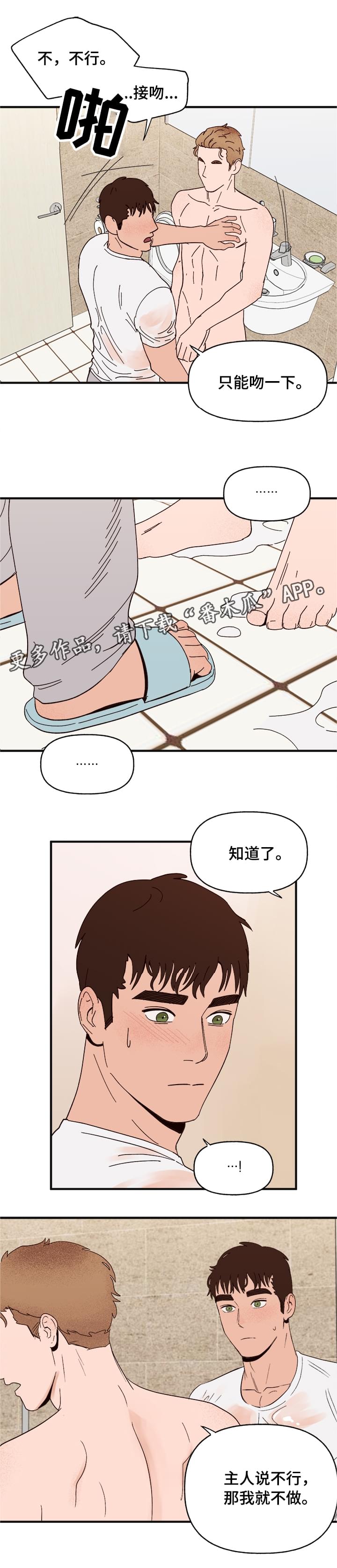 第15章：命令0