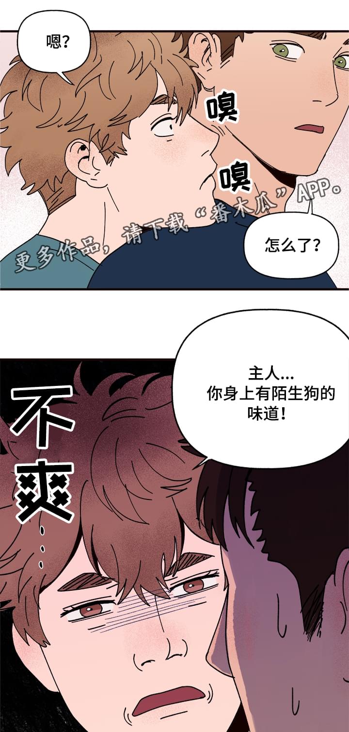 第10章：谎言18