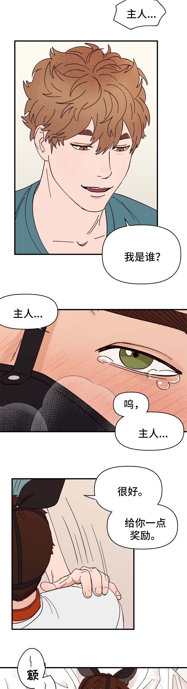 第29章：我是谁?11
