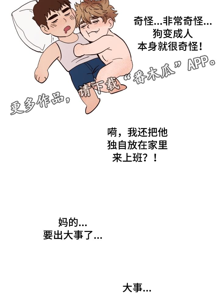 第3章：难以置信19