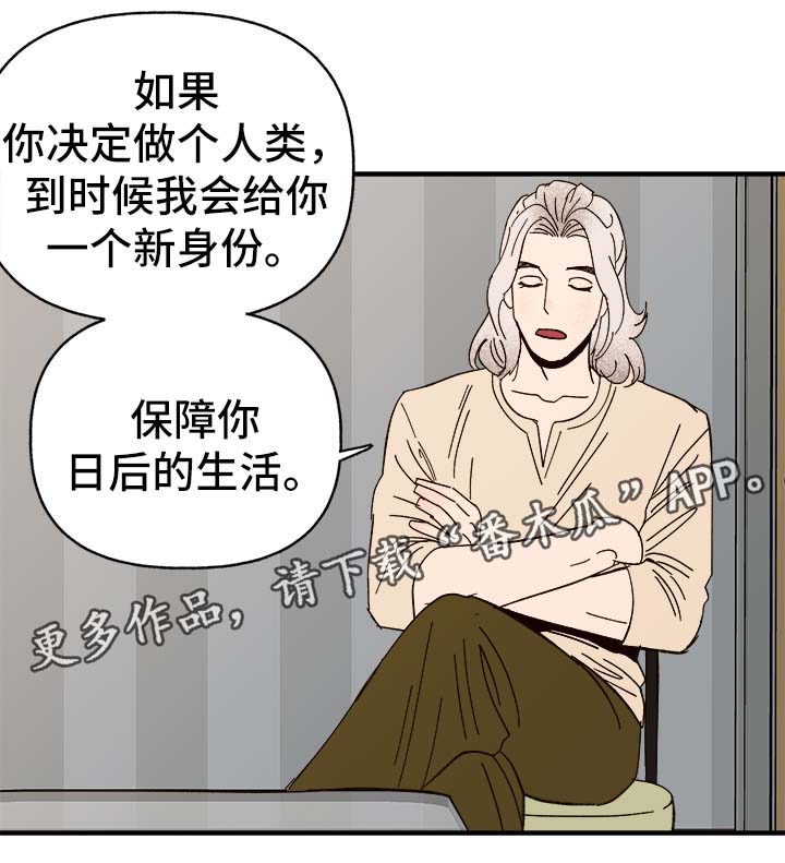 第34章：隐晦7