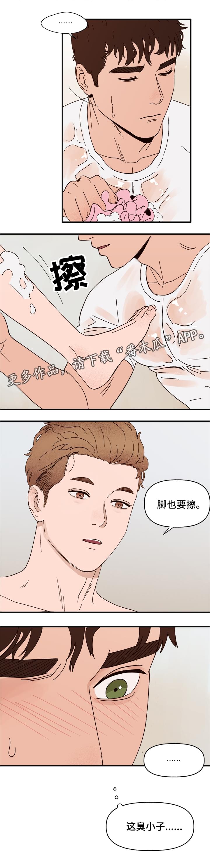第15章：命令3