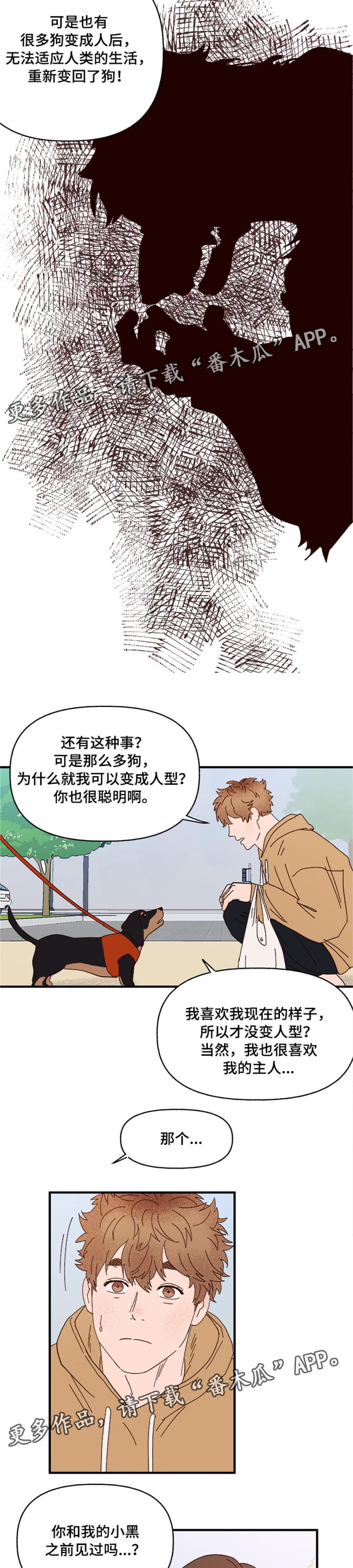 第19章：传说10